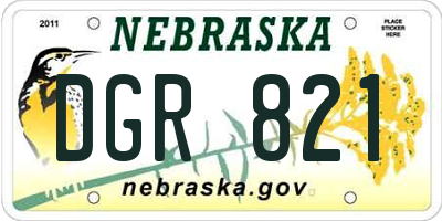 NE license plate DGR821