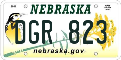 NE license plate DGR823