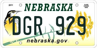 NE license plate DGR929