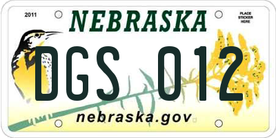 NE license plate DGS012