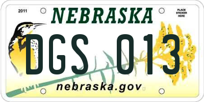 NE license plate DGS013