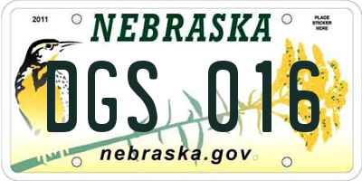 NE license plate DGS016