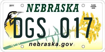 NE license plate DGS017