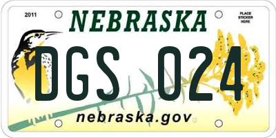 NE license plate DGS024