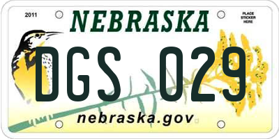 NE license plate DGS029