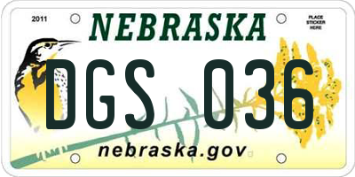 NE license plate DGS036