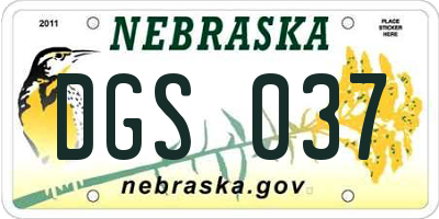 NE license plate DGS037