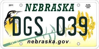 NE license plate DGS039