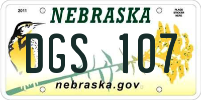 NE license plate DGS107