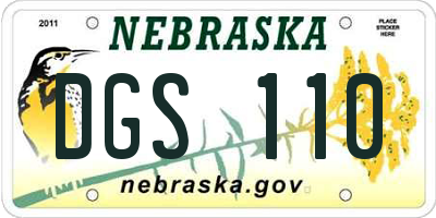 NE license plate DGS110