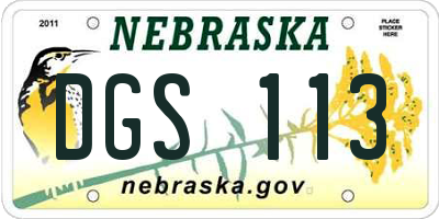 NE license plate DGS113