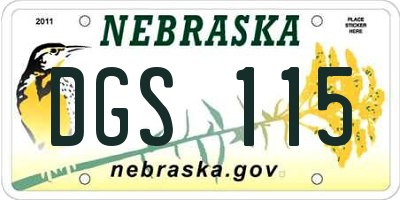 NE license plate DGS115