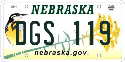 NE license plate DGS119
