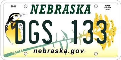 NE license plate DGS133
