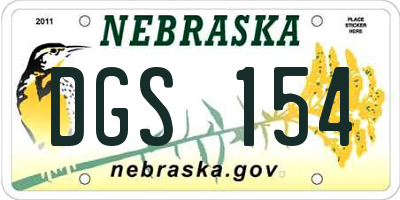 NE license plate DGS154