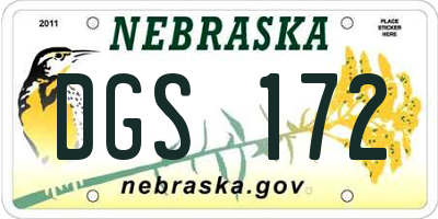 NE license plate DGS172