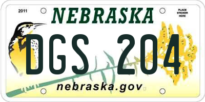 NE license plate DGS204