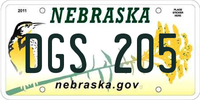 NE license plate DGS205