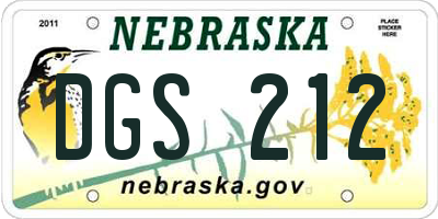 NE license plate DGS212