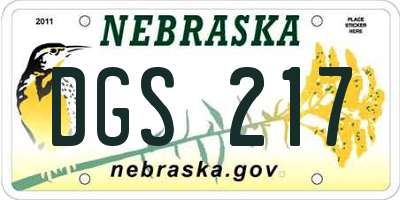 NE license plate DGS217