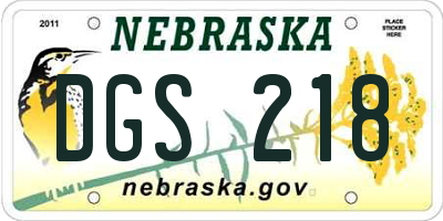 NE license plate DGS218