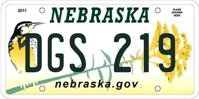 NE license plate DGS219