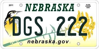NE license plate DGS222