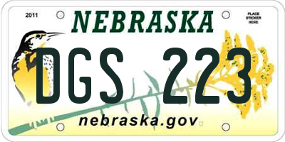 NE license plate DGS223