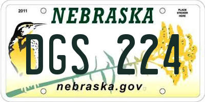 NE license plate DGS224