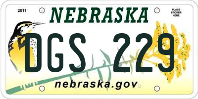 NE license plate DGS229
