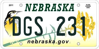 NE license plate DGS231