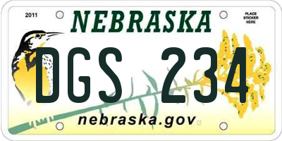 NE license plate DGS234