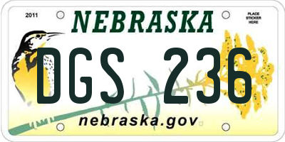 NE license plate DGS236