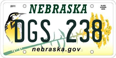 NE license plate DGS238