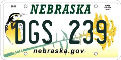 NE license plate DGS239