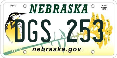 NE license plate DGS253