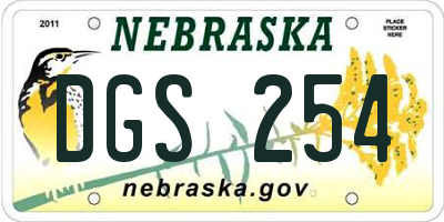 NE license plate DGS254