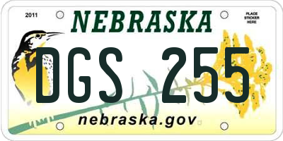 NE license plate DGS255