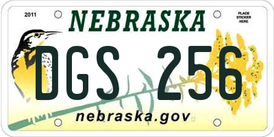 NE license plate DGS256