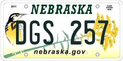 NE license plate DGS257