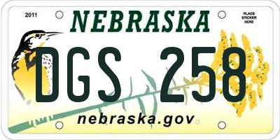 NE license plate DGS258