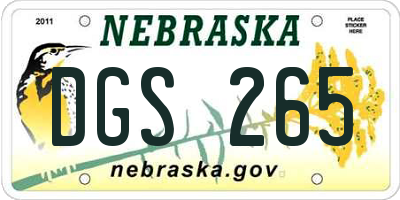 NE license plate DGS265