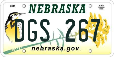 NE license plate DGS267