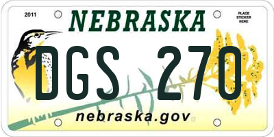 NE license plate DGS270