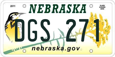 NE license plate DGS271