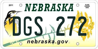 NE license plate DGS272