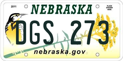 NE license plate DGS273