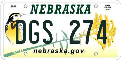 NE license plate DGS274