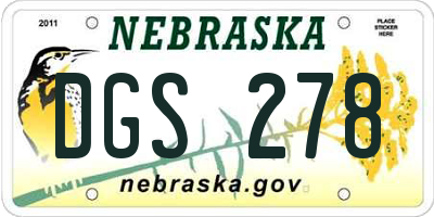 NE license plate DGS278