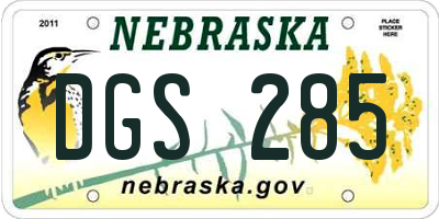 NE license plate DGS285